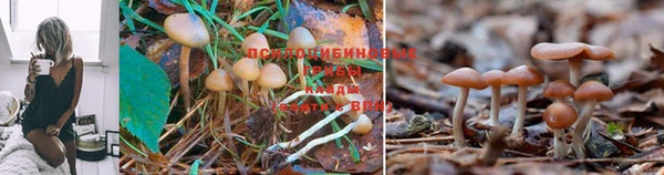 амфетамин Абинск